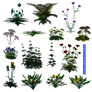 Some PNG Plants7 by brotherguy
