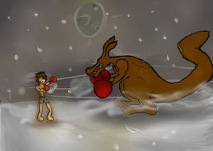 Boxing Kangaroo