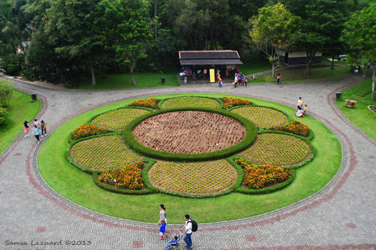 Big flower park