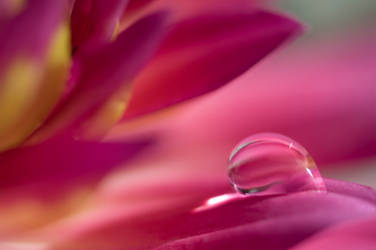 Girliness Uncovered Deviantart Favourites Girliness Uncovered Deviantart Favourites