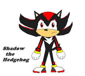 shadow the hedgehog