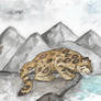 Andean mountain cat