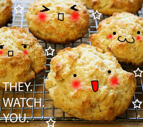 BISCUITS WATCH YOU