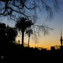 Auckland from the Domain