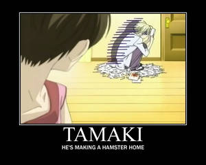 Tamaki Hamster Home