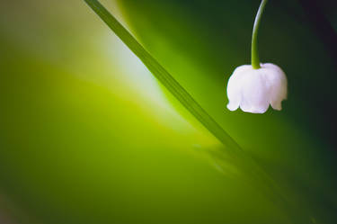 Soft white clock