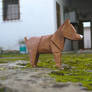 Perro rabon - Tailless dog