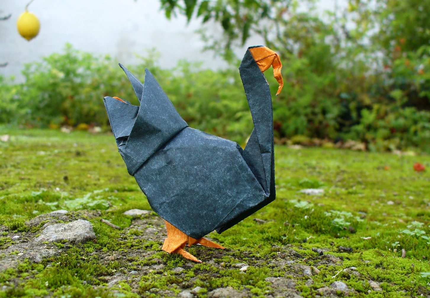 Turkey or Pavo by Figuer