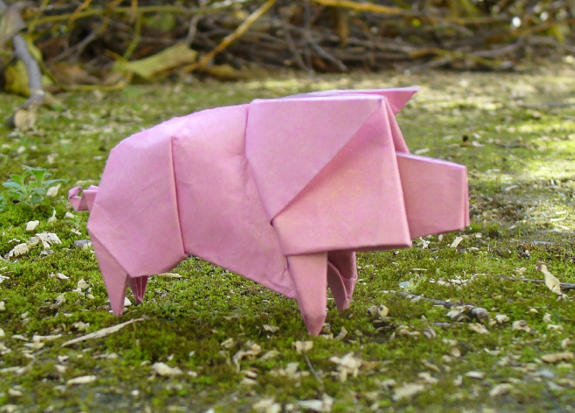 Little pig - Cerdito