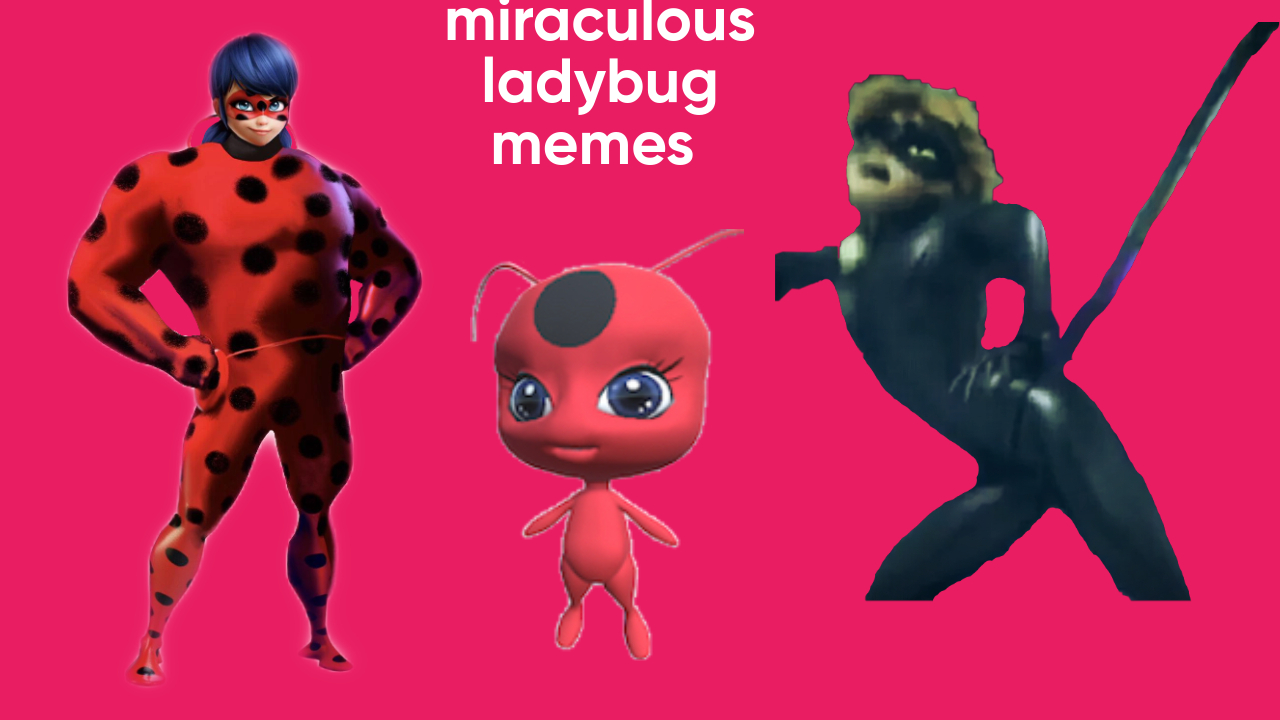 memes miraculous ladybug português brasil