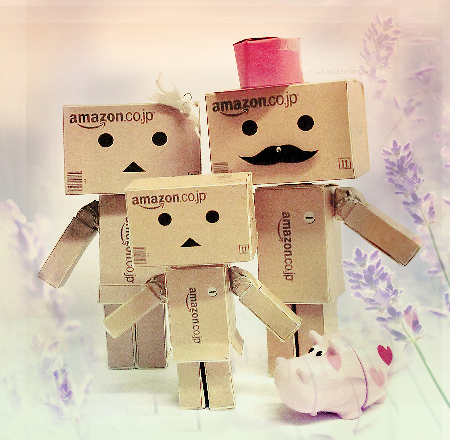 Danbo Memories