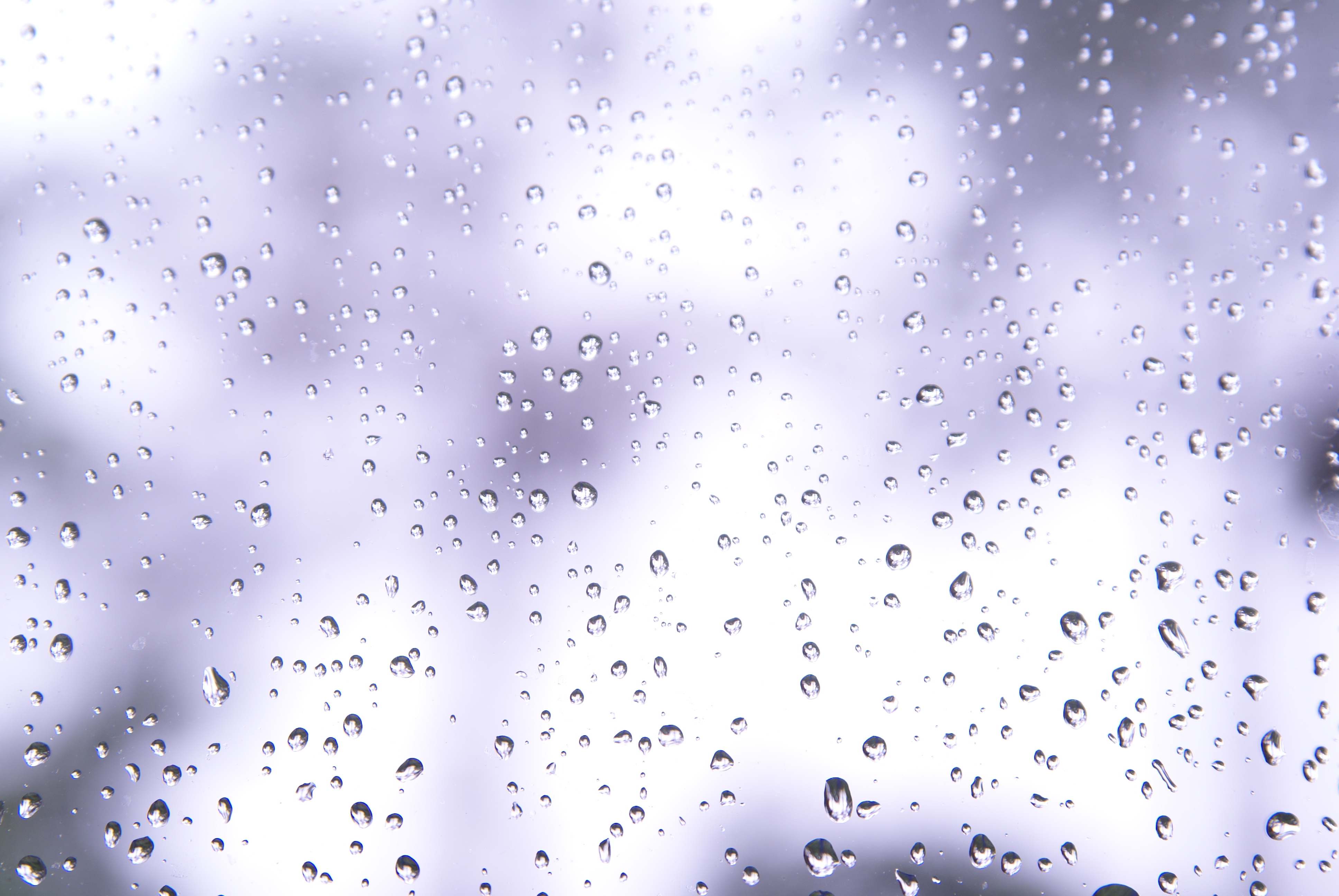 Drops on a window 2