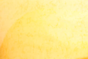 Lemon Fabric 1