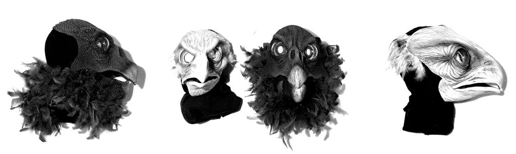 Bird Masks