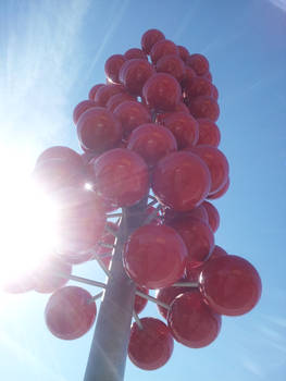 Sunshine Red Balls