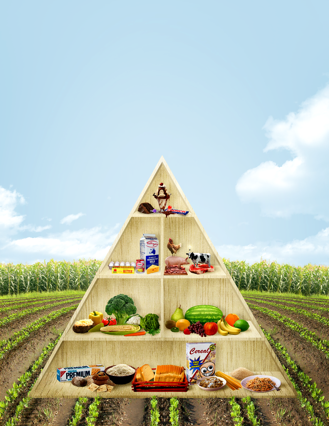 food pyramid 1