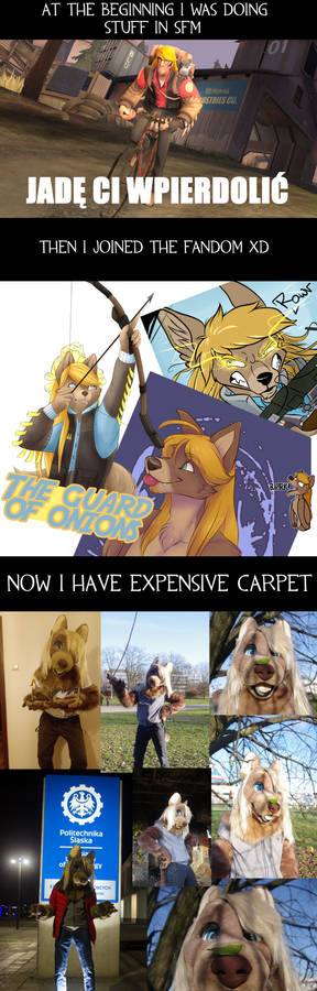 Well... yea, I have very expensive carpet XD