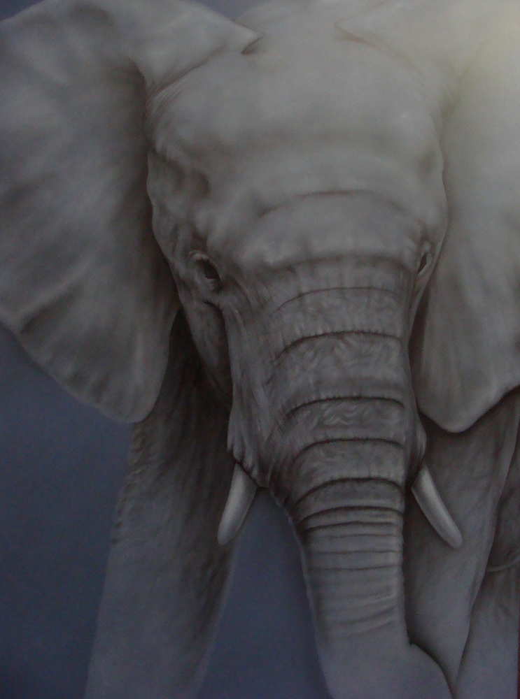 Airbrush elephant 01