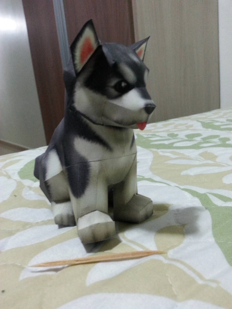 Husky puppy papercraft II by bslirabsl on DeviantArt
