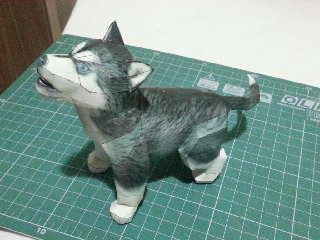 Husky Puppy Papercraft by bslirabsl on DeviantArt