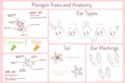 Florapin Traits + Anatomy Sheet