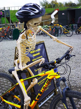 Skeleton On Bike