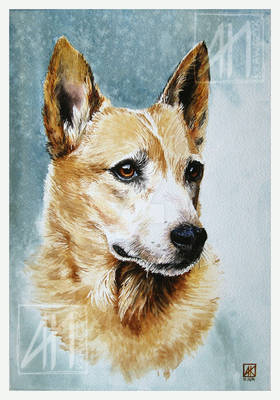 Classic dog portrait