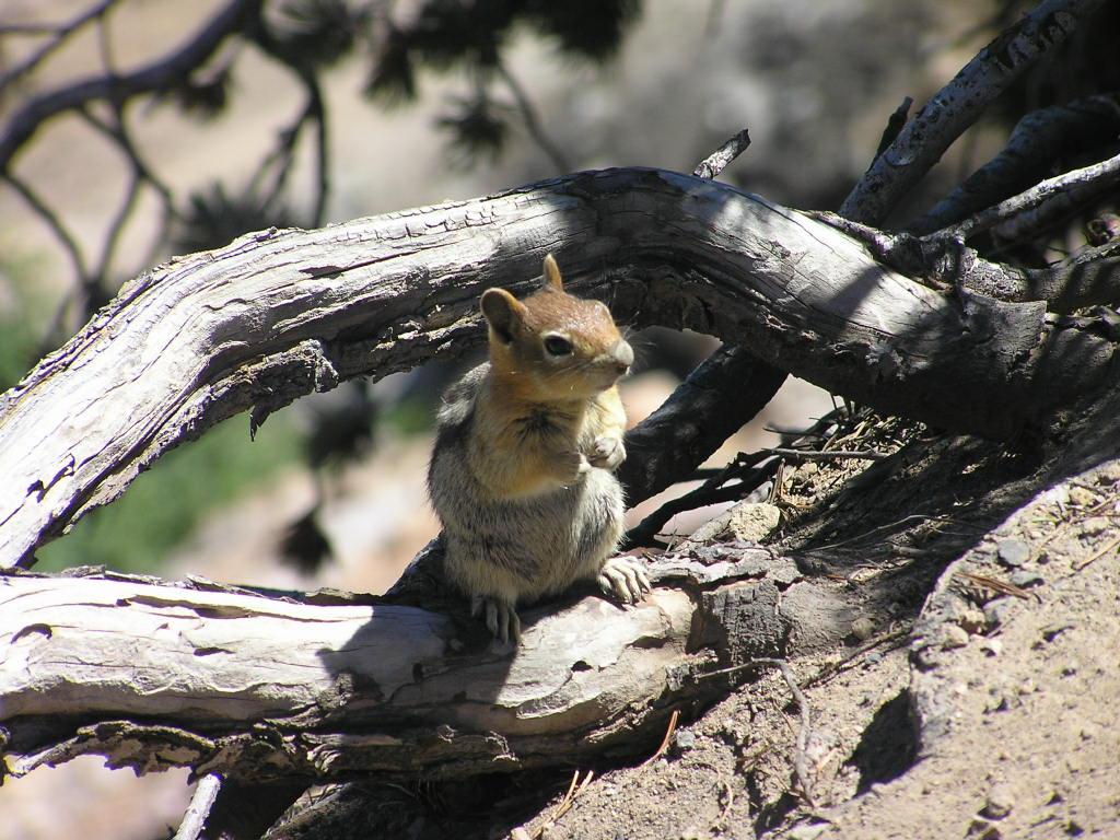 Protecting His Nuts