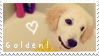 Golden Retrievers - Stamp by CatherineHH