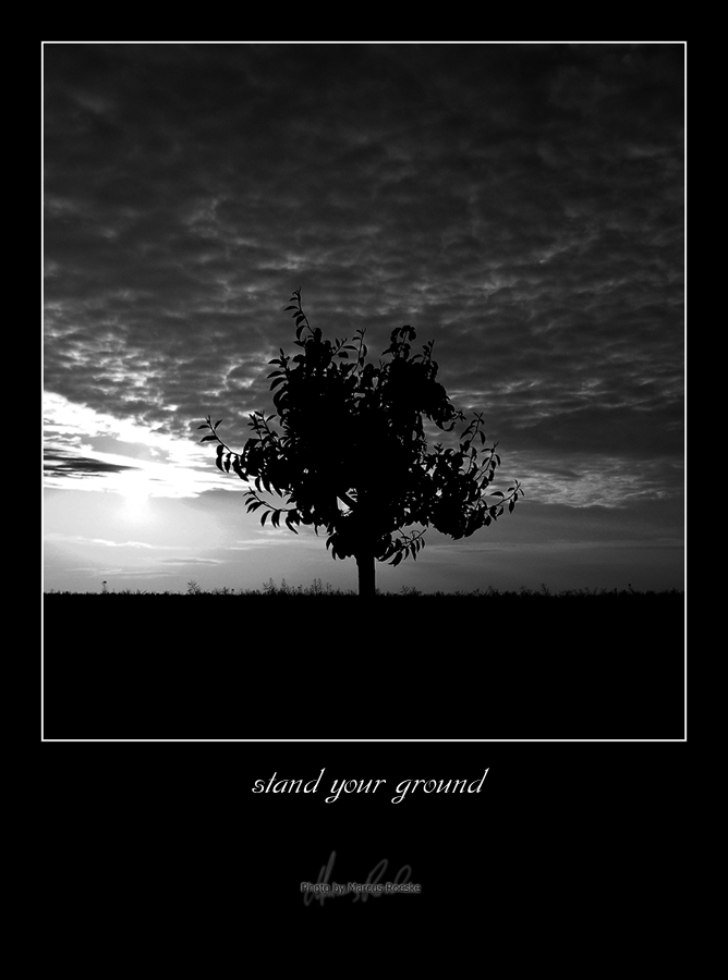 Stand Your Ground