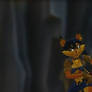 carmelita in sly cooper thieves in time