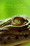 The Eyes of a Crocodile by OmarAziz