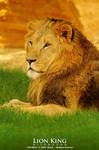 Lion King by OmarAziz