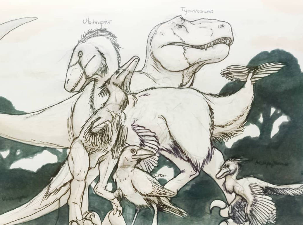 Birds Evolution Drawing Bird Evolution Piece Sketch by AwesomeF0x on DeviantArt