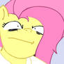 Fluttershy Hates Anything