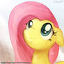 Fluttershy