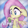 Fluttershy shoving a whole cucumber down Angel