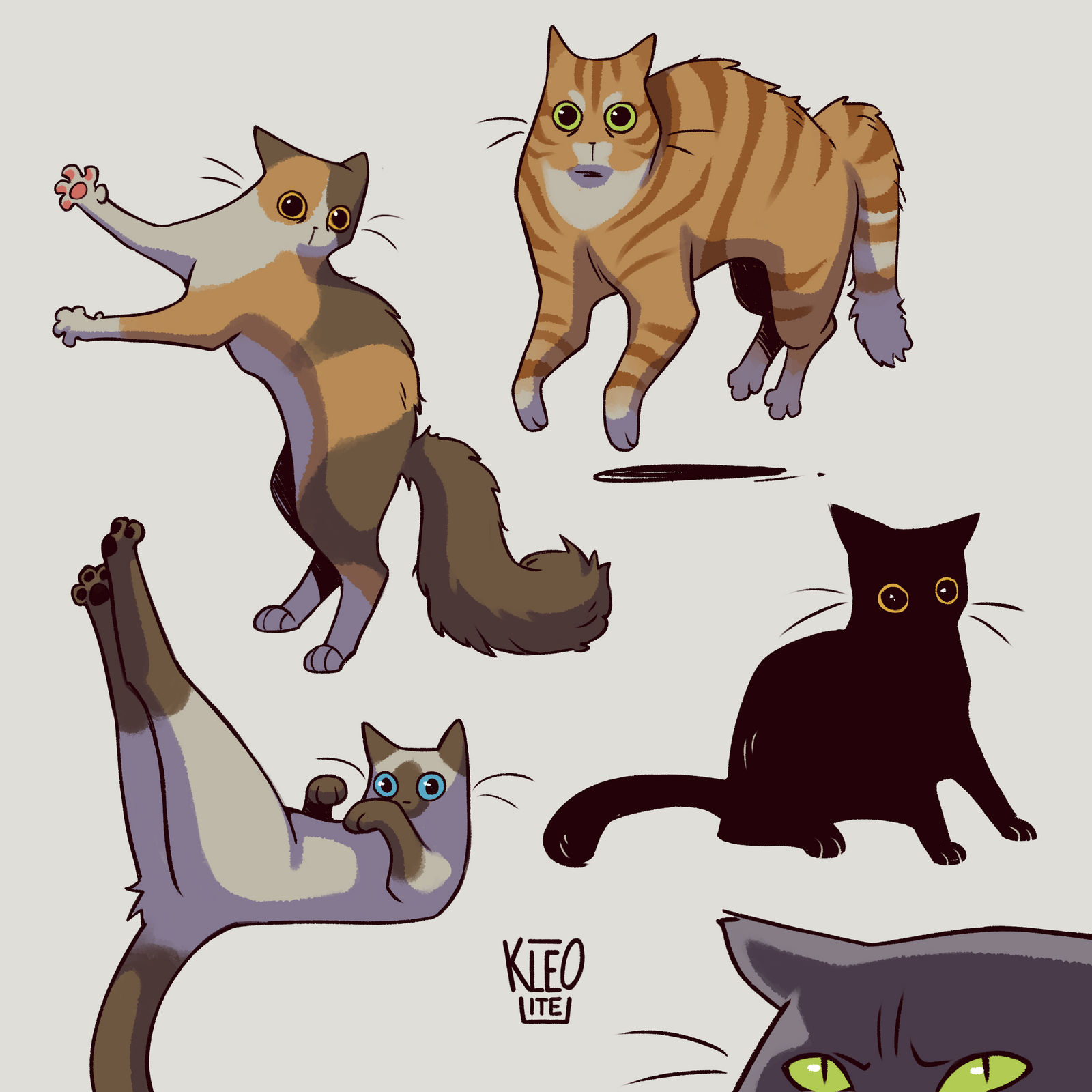 Cat Doodles