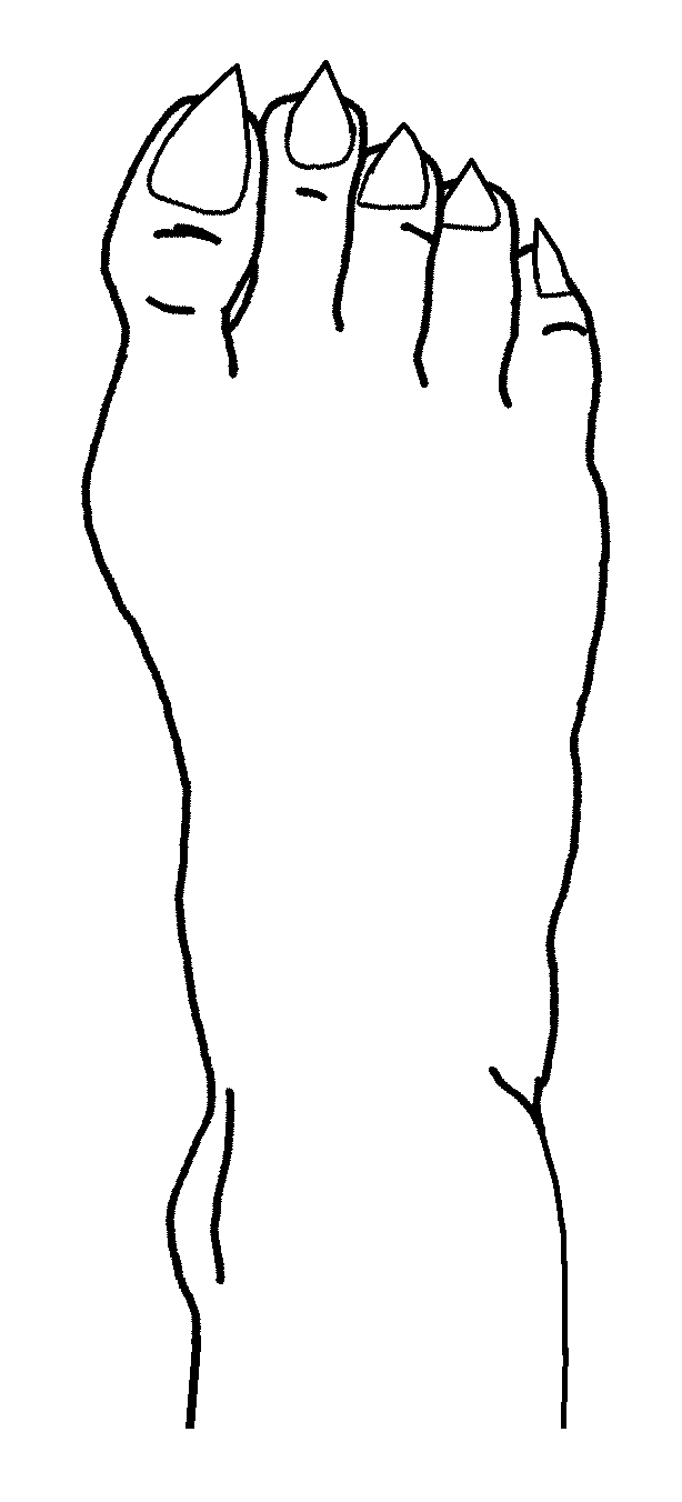 Design Foot Base Foot Base 5 by AladdinDragonson42 on DeviantArt