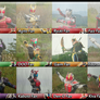 Main Fifteen Heisei Kamen Rider Fan Button List