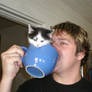Cup of Kitty