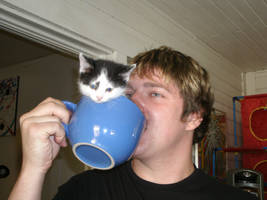 Cup of Kitty