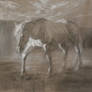 Horse, misty morning