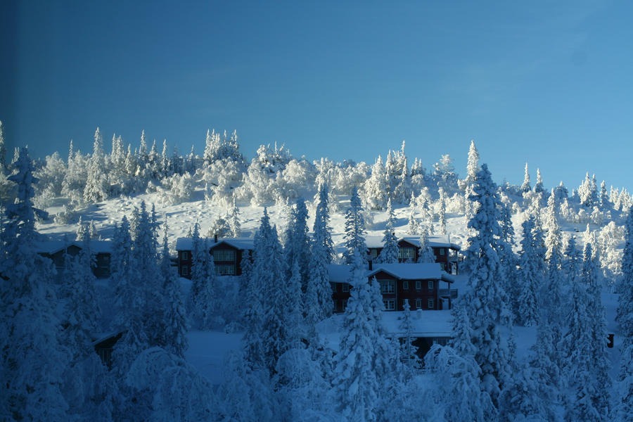 Swedish winter 1