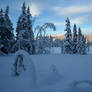 Swedish winter 2