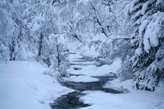 Swedish winter 5