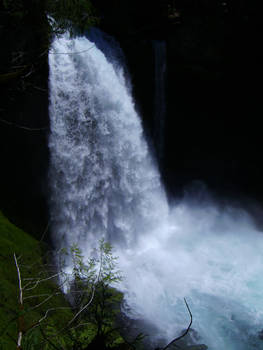 Waterfall on the McKenzie