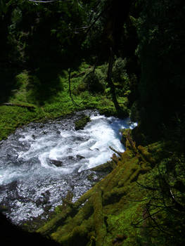 McKenzie River Natural 2