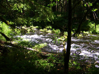 McKenzie River Shallows