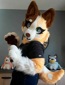 Result of my fursuit of Chili Heeler :3